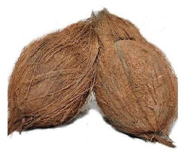Semi Husked Coconut